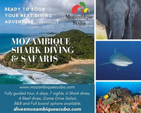 MOZAMBIQUE SCUBA (2026) All You Need to Know BEFORE You Go (with Photos ...