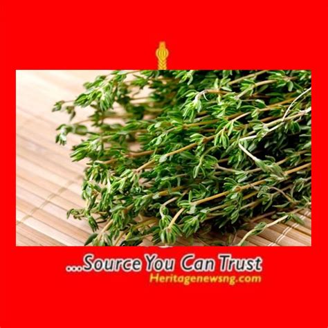 Most Powerful Herb That Eliminates Abdominal Pain, Diarrhea, Arthritis ...