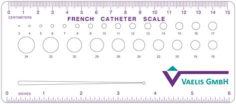Catheter Sizes French at Xavier Mccomas blog