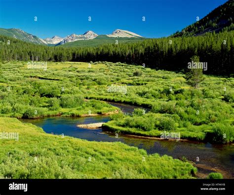 upper wise river flowing through lush riparian valley below the pioneer ...