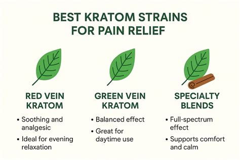 Using Kratom Medicinally: A Practical Guide For Pain Relief And Relaxation