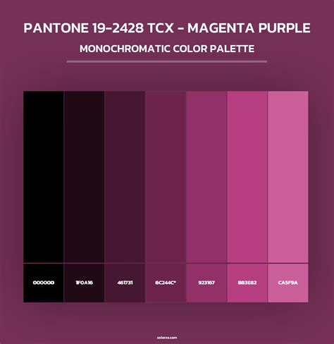PANTONE 19-2428 TCX - Magenta Purple color palettes - colorxs.com