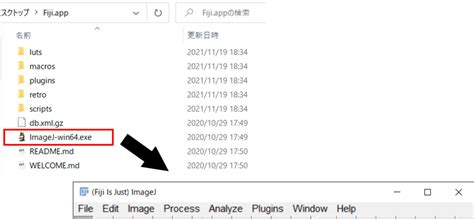 Fiji ImageJ Download 的图像结果