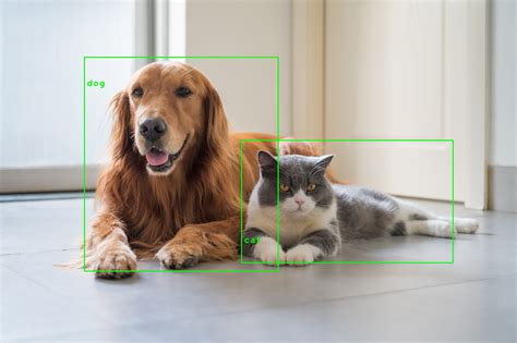 Image result for Python-Opencv Object Detection
