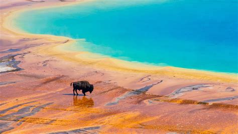 Over 25 Amazing Things to do in Yellowstone with Kids
