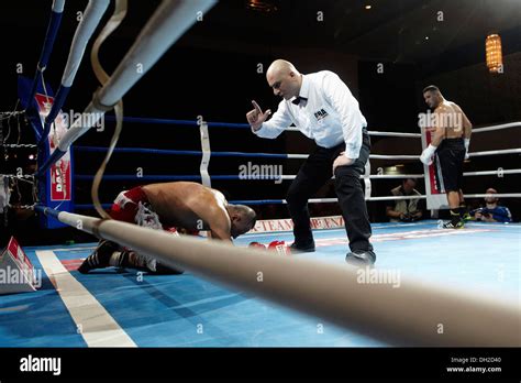 Boxing Match Referee 的图像结果
