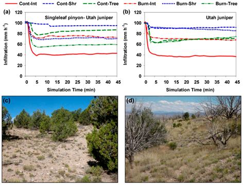 Spatial and Temporal Variability of the Impacts of Pinyon and Juniper ...