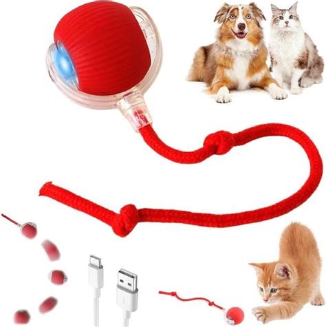 Cat Toys - Buy Cat Toys Online at Best Prices In India | Flipkart.com