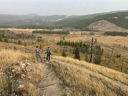 Image result for Grizzly hiker Wyoming 