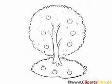 kostenlose malvorlagen kindergarten apfelbaum im garten kostenlose ausmalbilder herbst kostenlose malvorlagen kindergarten apfelbaum im garten kostenlose ausmalbilder herbst