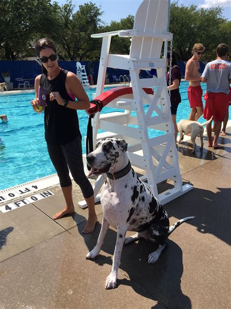 Holmes Aquatic Center Goes to the Dogs www.SueKrider.com | Dogs, Dog ...