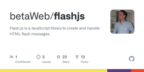 Adobe Flash and JavaScript 的图像结果