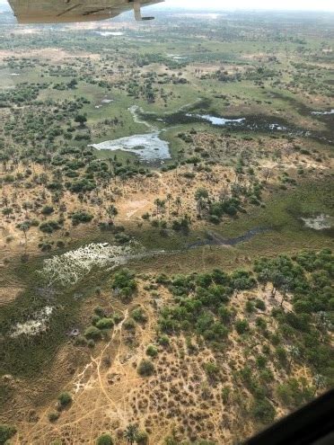 The Wire: The Wire News India, Latest News,News from India, Politics ...