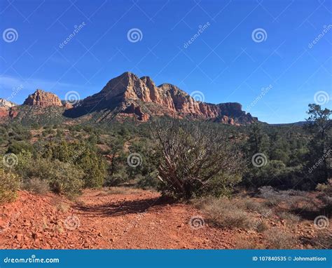 Sedona Arizona Little Horse Trail Stock Image - Image of hiking, horse ...