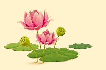 3d natural lotus flowers and leaves | Premium Vector