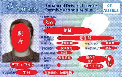 如果在美国丢失护照/驾照/银行卡/SSN卡等重要证件怎么办？ - 知乎
