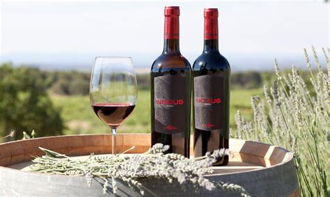 Spanish wine - Nodus, passion in making wines great
