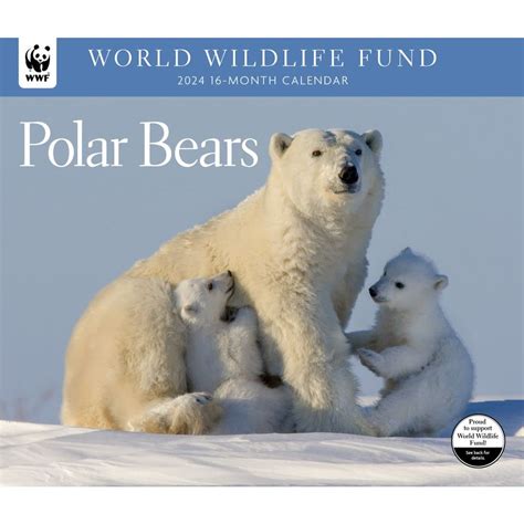 Buy Ink, Polar Bears WWF 2024 Wall Online at desertcartINDIA