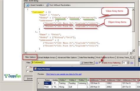 SSIS JSON Primitive Error 的图像结果