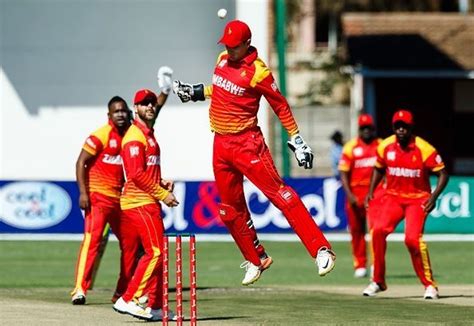 Australia vs Zimbabwe 3rd T20I Preview: Aussies look to thrash depleted ...