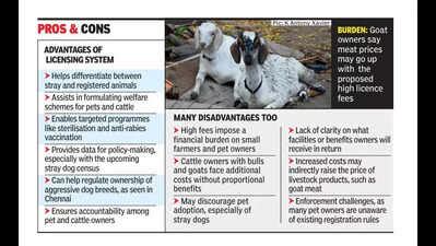 Cattle, pet owners cry foul over licence fee move | Madurai News - The ...