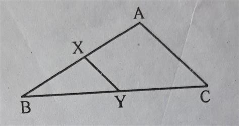 (2) In the diagram side XY || AC, 2AX = 3BX and XY = 9 the find AC ...