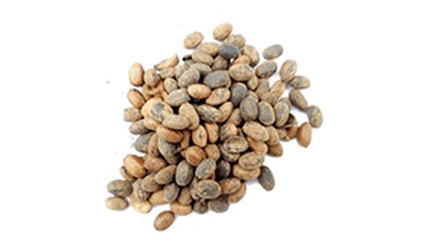 Surechan Vati- Best Ayurvedic Formulation for Stomach Problems