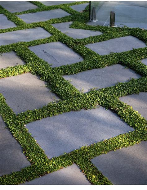 Designer Pots for Exotic Garden Landscaping