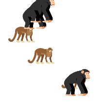 Looping Sprites Code.org 的图像结果