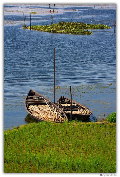 go2india.in : Purbasthali oxbow lake bird sanctuary