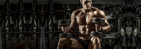 Top Best Utility Bench Gym Equipment Brand In India