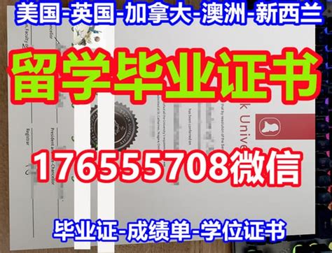 双硕士学位桥港大学毕业证成绩单,UB学位证;文凭 | PPT