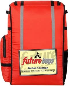 Future Ecommerce Delivery Bag Multipurpose Courier Logistics Grocery ...