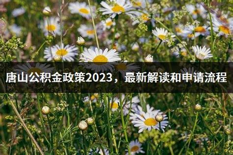 唐山公积金政策2023，最新解读和申请流程丨浦东保险网