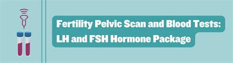 Fertility Pelvic Scan and Hormone Blood Test Package (LH and FSH)