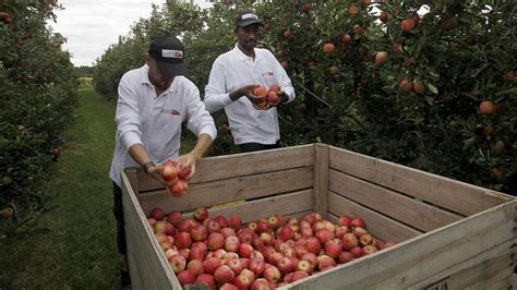 La inmigración ha "amortiguado" la despoblación en el medio rural en España