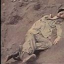 Image result for Graphic Dead War Bodies