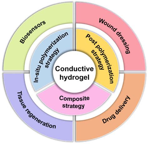 Design Strategies of Conductive Hydrogel for Biomedical Applications | MDPI