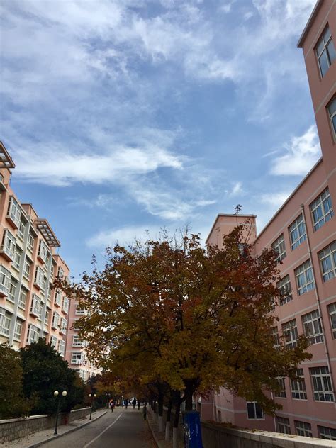 青岛科技大学外国语学院教务处青岛科技大学外国语学院官网2022已更新