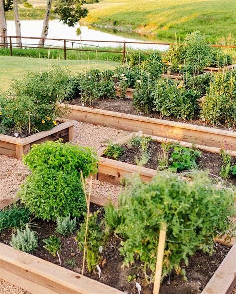 25 Best Raised Bed Ideas 2025 - Inexpensive Raised Garden Ideas