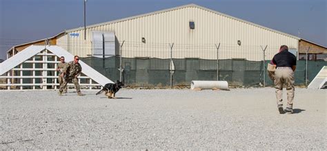 AMK9 and Mad Dog Kennels Sink their Teeth Into Obedience, Agility and ...