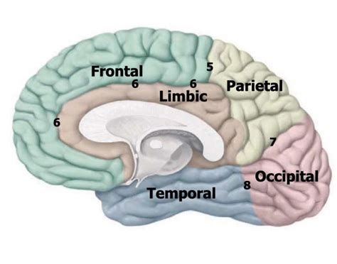 Image result for Cortex-R Vector Table