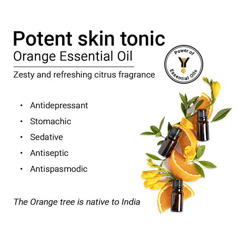 Orange Oil – Keya Seth Aromatherapy