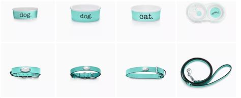 In the $320 billion global pet care industry, India is only catching up ...