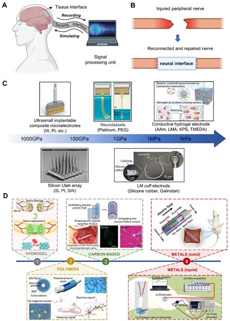 Neural Interface 的图像结果
