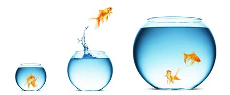 Image result for Self-Development