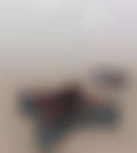 Solar-Powered Cookware : HeatLiner Solar Heat Cooker