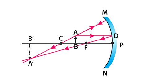 NCERT Exemplar: Light - Reflection and Refraction - Science Class 10 ...