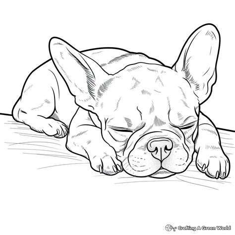 French Bulldog Printable Coloring Pages - Free & Printable!