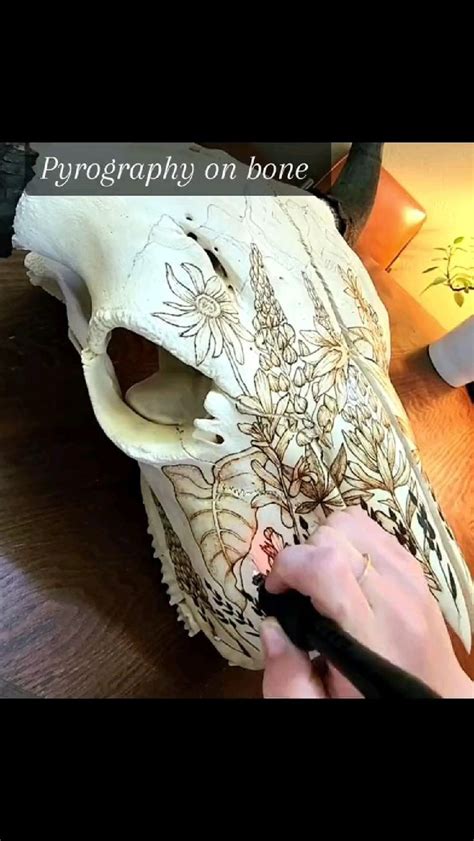 Pyrography On Bone 的图像结果